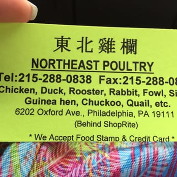 Northeast Livestock Corp. - a hand holding a business card - Butcher Near Me - Philadelphia, Pennsylvania Northeast Livestock Corp. - a hand holding a business card - Butcher Near Me - Philadelphia, Pennsylvania