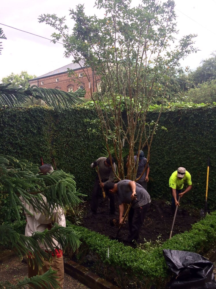 CRESCENT CITY LANDSCAPING Updated September 2024 Metairie