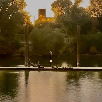 Delta Bar and Grill - We have a great view of the sea lions, basking in the beautiful day. - Bars Near Me - Sacramento, California Delta Bar and Grill - We have a great view of the sea lions, basking in the beautiful day. - Bars Near Me - Sacramento, California