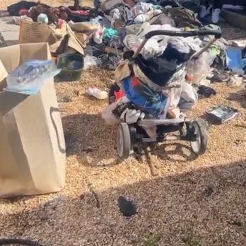 Ziggy Hauls - More junk removal - Junk Removal & Hauling Near Me - Alameda, California Ziggy Hauls - More junk removal - Junk Removal & Hauling Near Me - Alameda, California