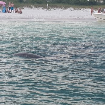 Destin Beach - Beaches Near Me - Destin, Florida