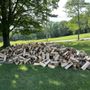 Photo of Banded Landscaping