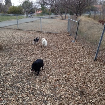 Heather Farm Dog Park - Back end of small dog section. - Dog Parks Near Me - Walnut Creek, California