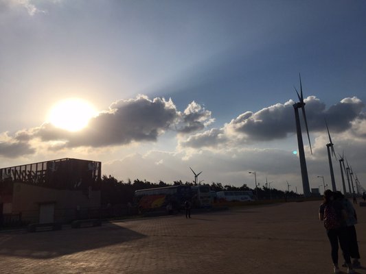 Gaomei Wetlands by null