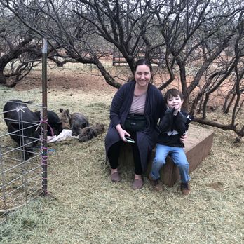 Harmony Acres Ranch - My son and I sitting with a family of piggies - Petting Zoos Near Me - Cornville, Arizona Harmony Acres Ranch - My son and I sitting with a family of piggies - Petting Zoos Near Me - Cornville, Arizona