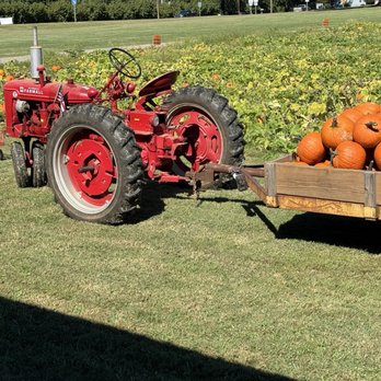 Bush-N-Vine Farm - Tractor and Pumpkins - Fruits & Veggies Near Me - York, South Carolina