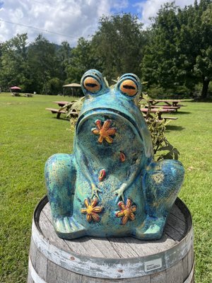 Blue Toad Hard Cider by null