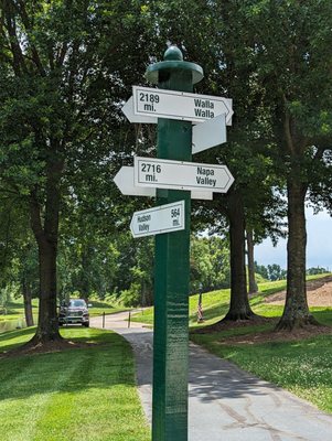 Shelton Vineyards by null