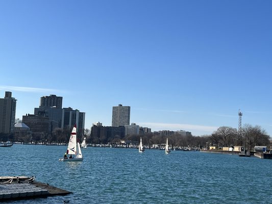 Belmont Harbor by null