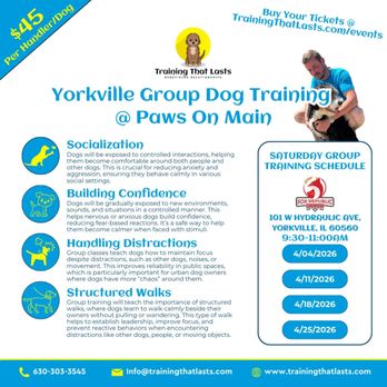 Training That Lasts - Group Dog Training in Yorkville on April 4th. - Pet Training Near Me - Bristol, Illinois