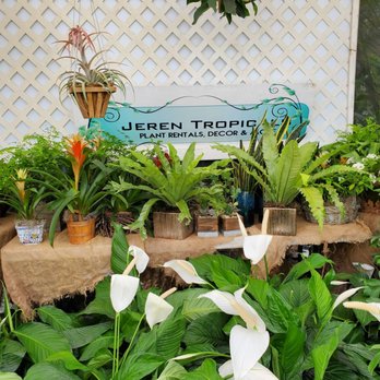 Jeren Tropicals - Nurseries & Gardening Near Me - Davie, Florida