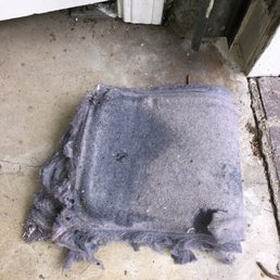 The lint we didn't clean for very long time The lint we didn't clean for very long time