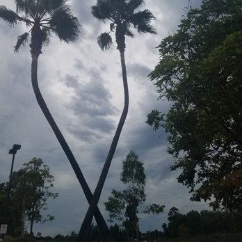 In-N-Out Burger - So cool they got the palm trees to be this shape. Most In-N-Out's have a pair of crossed palm trees out front... - Fast Food Near Me - Oceanside, California