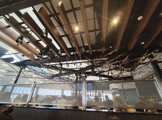 Bar Siena O'Hare by null