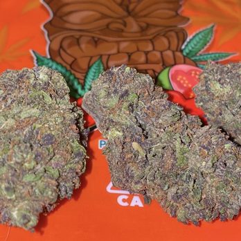 Toadily Stoned - Cannabis Clinics Near Me Toadily Stoned - Cannabis Clinics Near Me