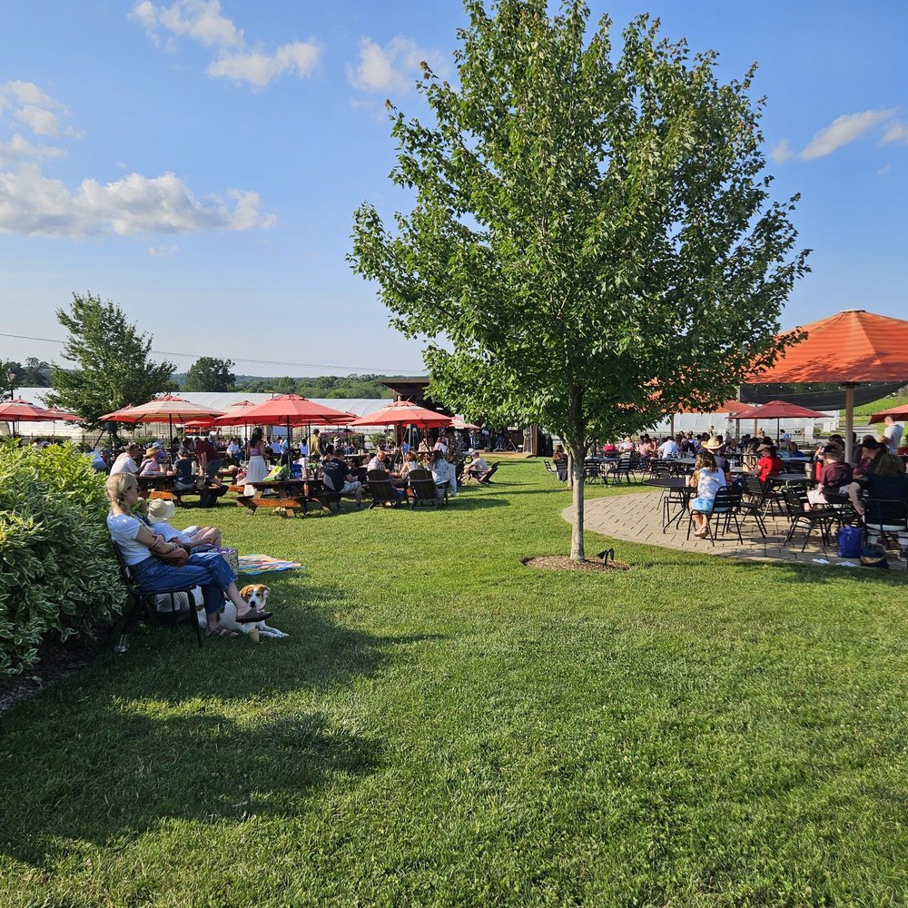Beneduce Vineyards - Wineries Near Me - Pittstown, New Jersey Beneduce Vineyards - Wineries Near Me - Pittstown, New Jersey