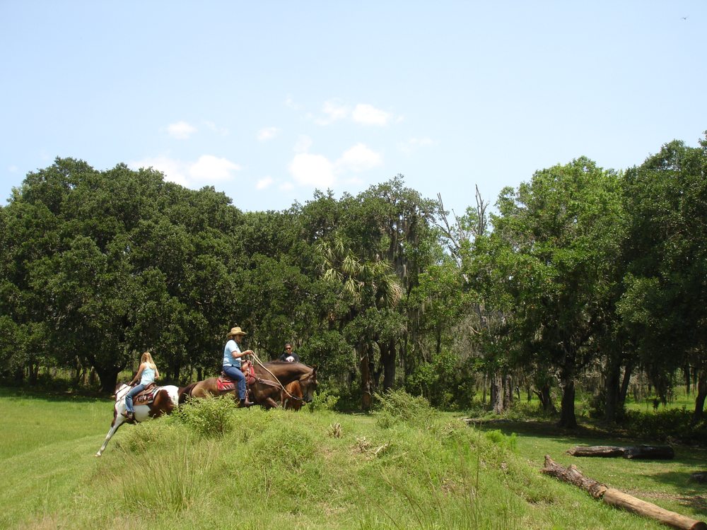 Ed McAdam - equestrian in Parrish, FL