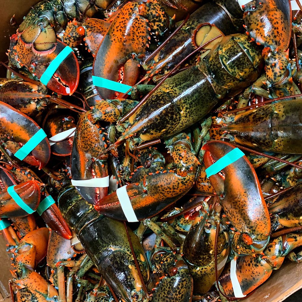 DA SEAFOOD STORE Updated May 2024 Yelp