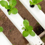 Photo of Central Valley Hydroponics