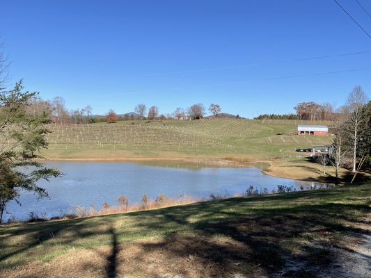 Three Sisters Vineyards & Winery by null