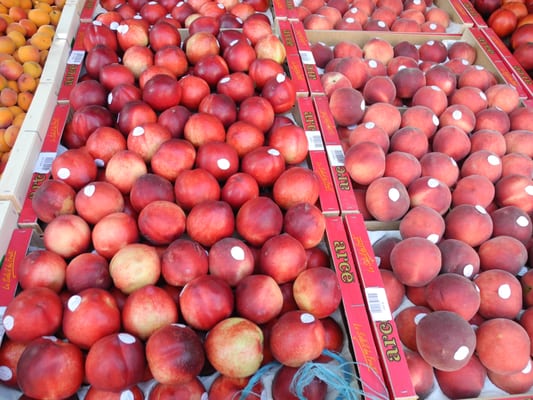 Place des Lices by null