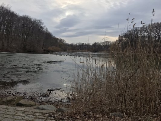 Alley Pond Environmental Center by null