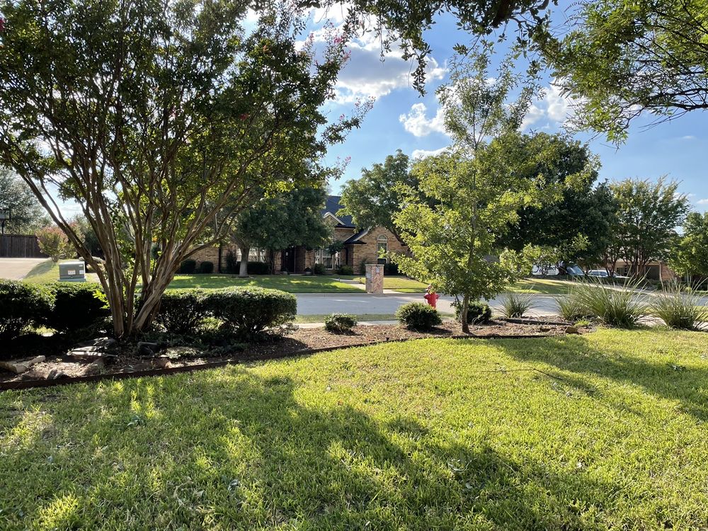 West Texas Tree Services - tree service in Mansfield, TX