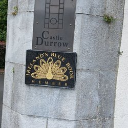 Castle Durrow - Found this castle in 2025 after getting  lost.So Beautiful.