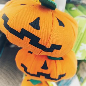 paws in the park pet supply