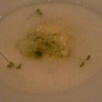 Tempo - fennel risotto - Latin American Near Me - Cancún, ROO Tempo - fennel risotto - Latin American Near Me - Cancún, ROO