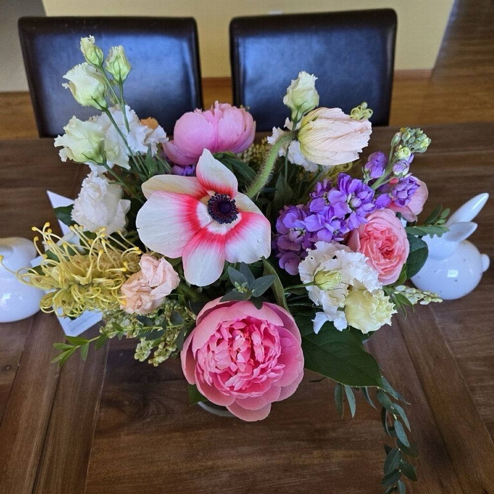 olio flowers and plants - Florists Near Me olio flowers and plants - Florists Near Me