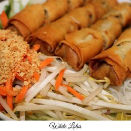 Spring Rolls