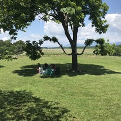 LeoGrande Vineyards & Winery