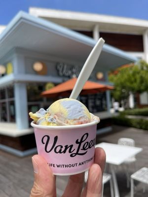 Van Leeuwen Ice Cream by null