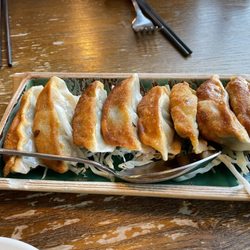 Young Can Wok - 8 Pieces Pork Potstickers