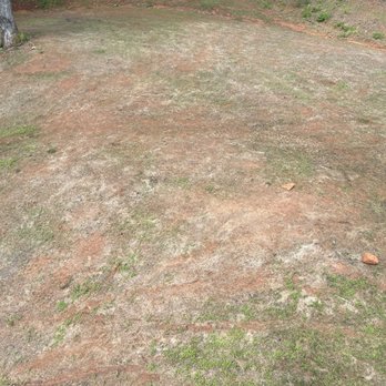 Unlimited Lawn Care - Another angle of the grass after it was dying, we put the rocks there for size reference it's 12" . - Lawn Services Near Me - Newnan, Georgia Unlimited Lawn Care - Another angle of the grass after it was dying, we put the rocks there for size reference it's 12" . - Lawn Services Near Me - Newnan, Georgia