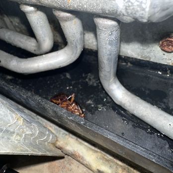 AQ Pros - Unclean drain pan - Heating & Air Conditioning/HVAC Near Me - Boynton Beach , Florida