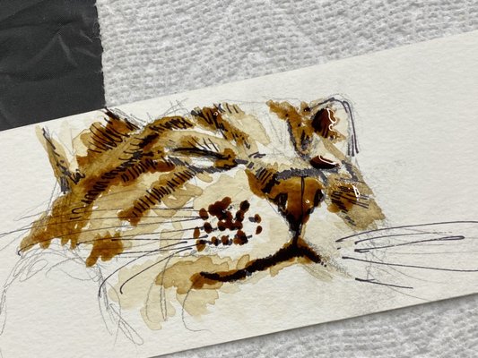 TELUS World of Science by null