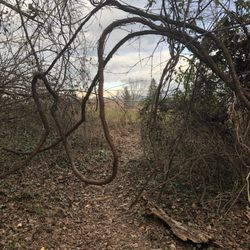 Cunningham Park Elementary School - Path behind ball fields