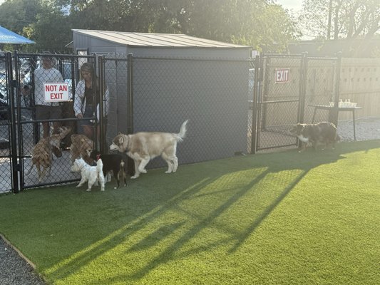 BARk House Social by null