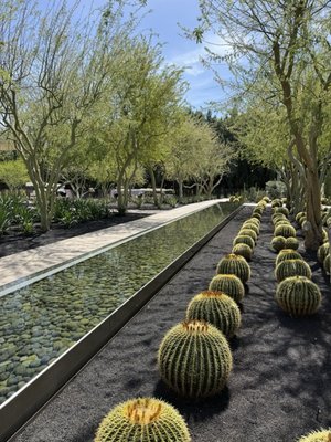 Sunnylands Center & Gardens by null