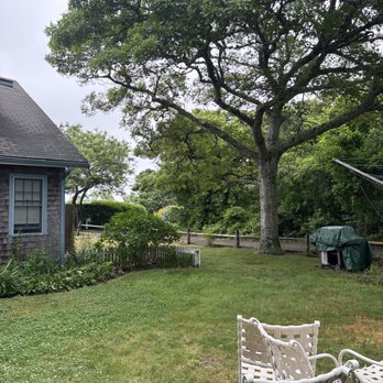 BSJ Tree Service - Tree Services Near Me