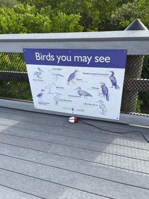 Manatee Viewing Center by null