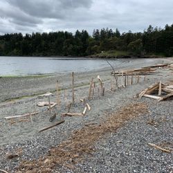 Crescent Beach Preserve - Some driftwood art.