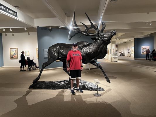 Buffalo Bill Center of the West by null