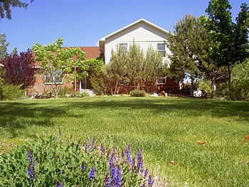 Desert Hills Bed and Breakfast by null