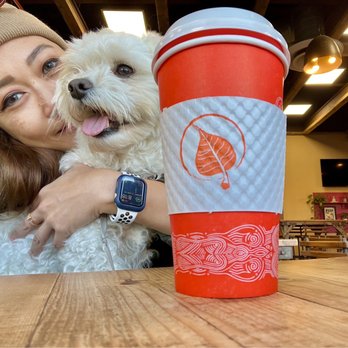 Bodhi Leaf Coffee Traders - Enjoying my two favorites: Shiro and Lavender Latte - Coffee & Tea Near Me - Orange, California