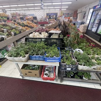 TBL Asian Market - International Grocery Near Me - Fresno, California TBL Asian Market - International Grocery Near Me - Fresno, California