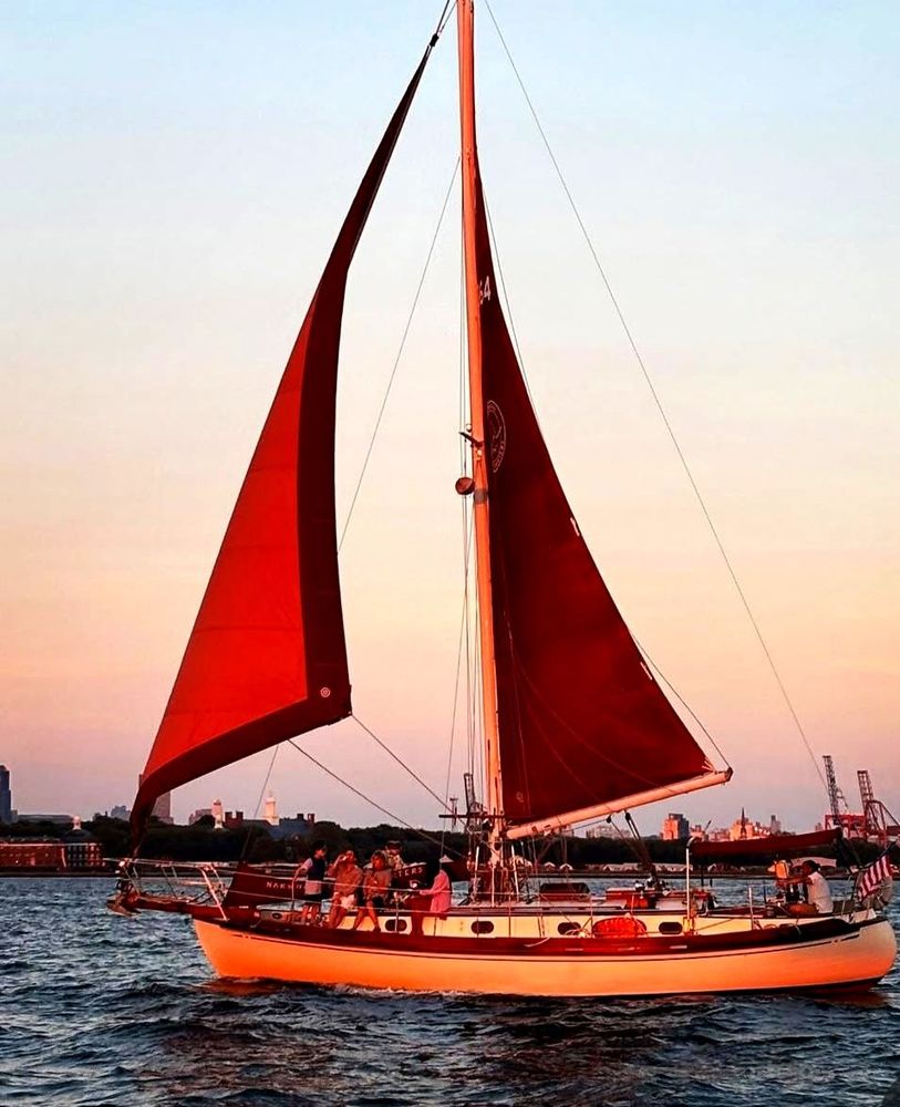 Narwhal Yacht Charters Logo