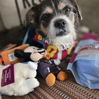 Pet Supplies Plus Clovis - Dude with his treats n toys from Pet Supplies Plus - Pet Stores Near Me - Clovis, California
